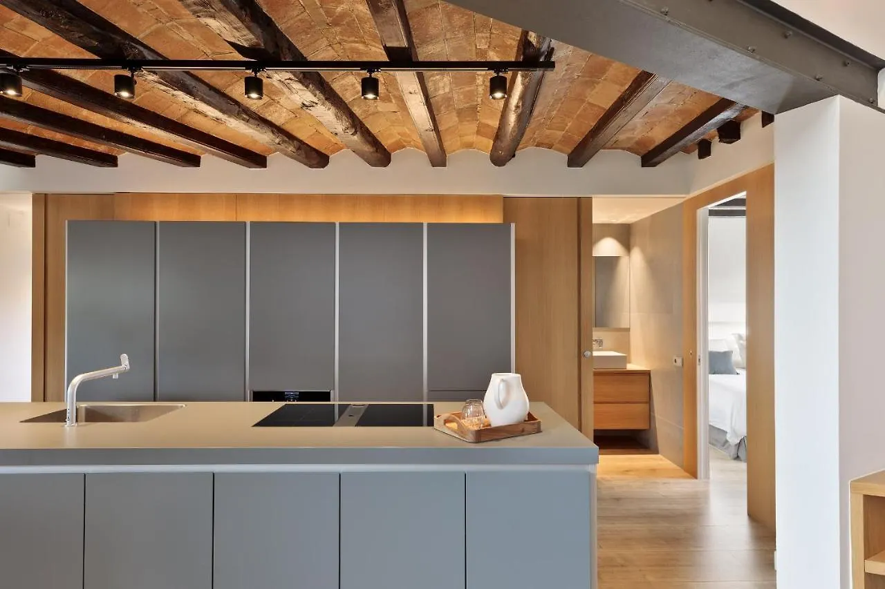 Enjoy Apartments La Riera Penthouse Barcelona